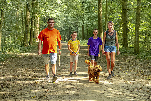 Family with dog on forest path at CAPFUN De Fruithof campsite in Klijndijk.