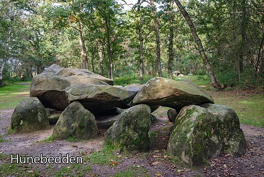 Prehistoric dolmen (Hunebed) in a wooded setting, worth visiting in Drenthe.