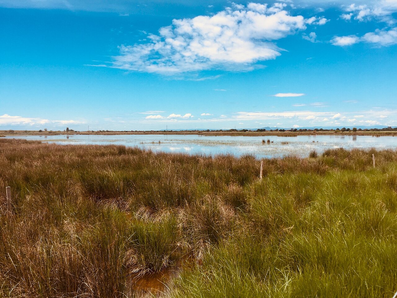 Marsh landscape and blue sky at CLICOCHIC Gorges du Gardon campsite in VERS PONT DU GARD (30).