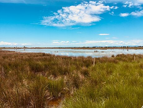 Vast marshland at camping CLICOCHIC Gorges du Gardon in VERS PONT DU GARD.