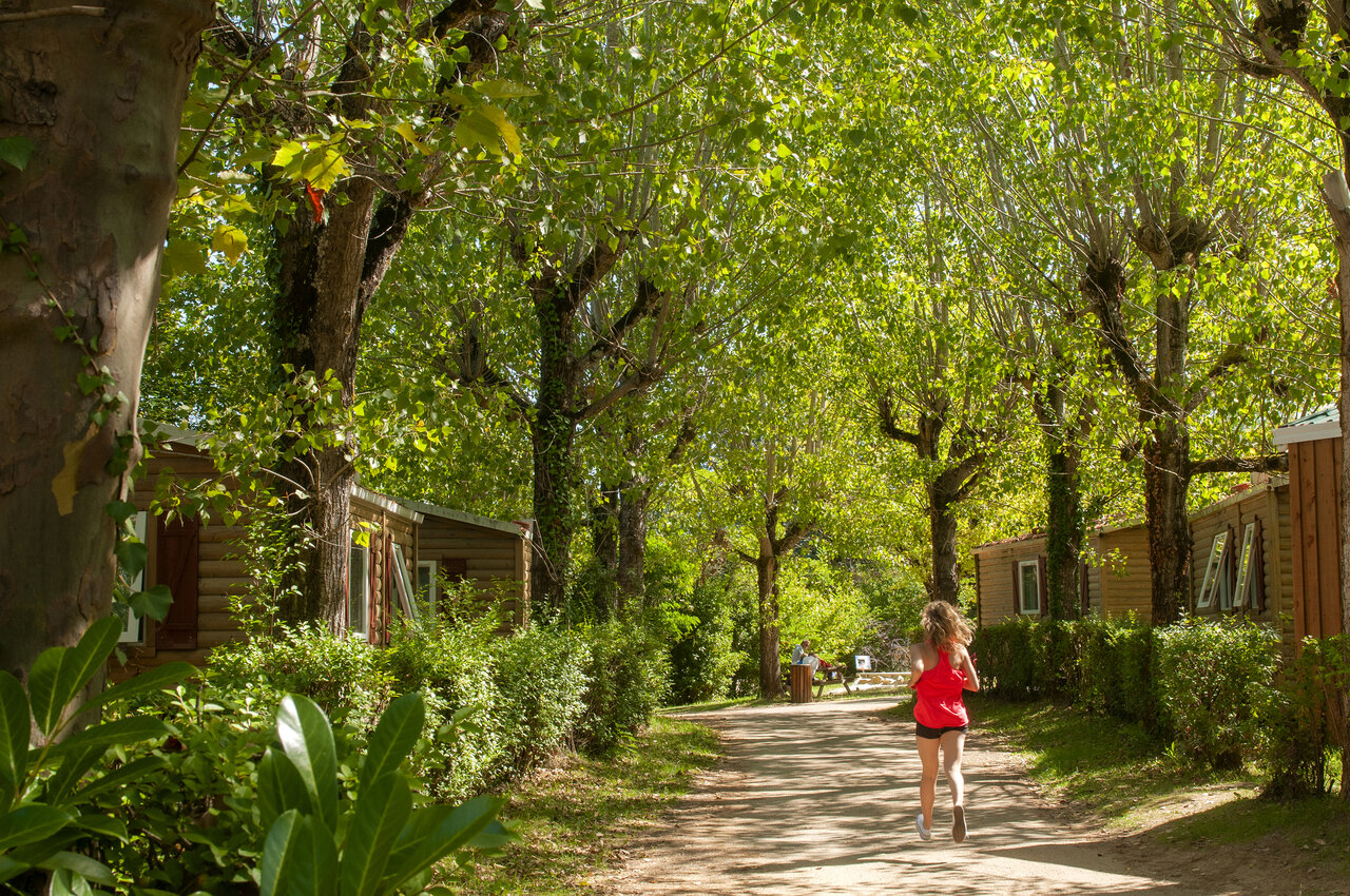 Shady path, mobile homes and jogger at CAPFUN Hauts de Ratebout in STE FOY DE BELVES.