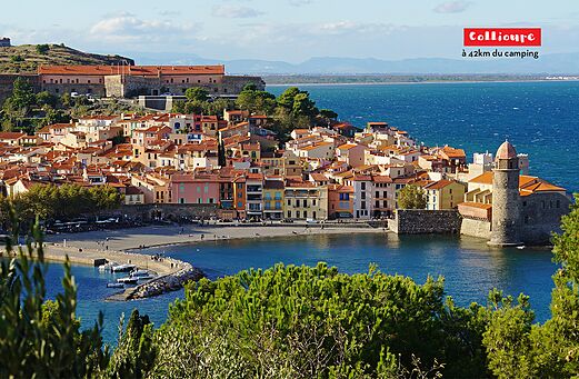 Collioure, picturesque coastal town, its port and church, Pyr�n�es-Orientales.