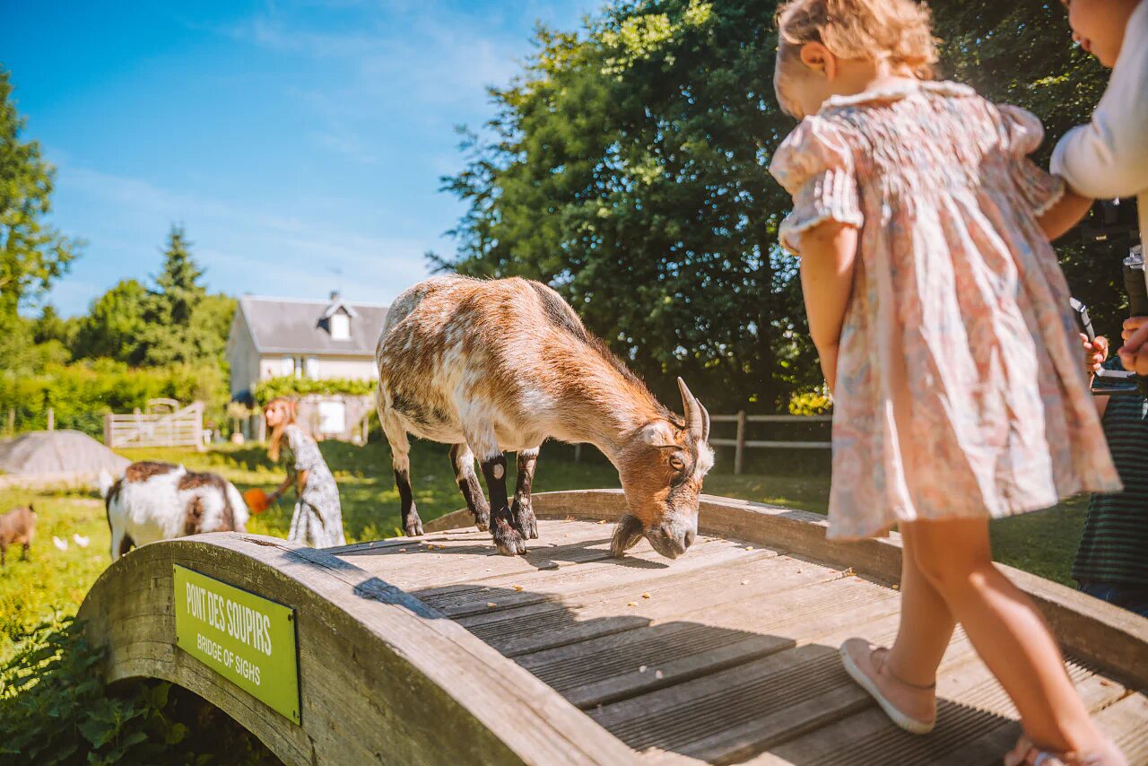 Goat, children, mini-farm at VAGUES OCEANES Les Iles in Hudimesnil.
