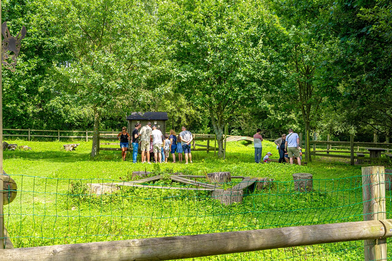 Nature activity at VAGUES OCEANES Les Iles campsite in Hudimesnil (50).
