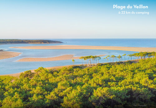 Veillon Beach, estuary and pine forest, a place to visit in Vendée.