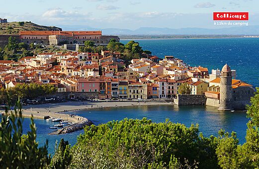 Collioure, colorful fishing village with its port and church, Pyrénées-Orientales.