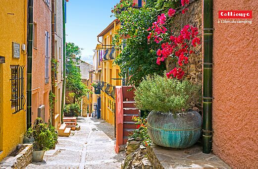 Charming flowery and colorful street in Collioure, typical village in the Pyrénées-Orientales.