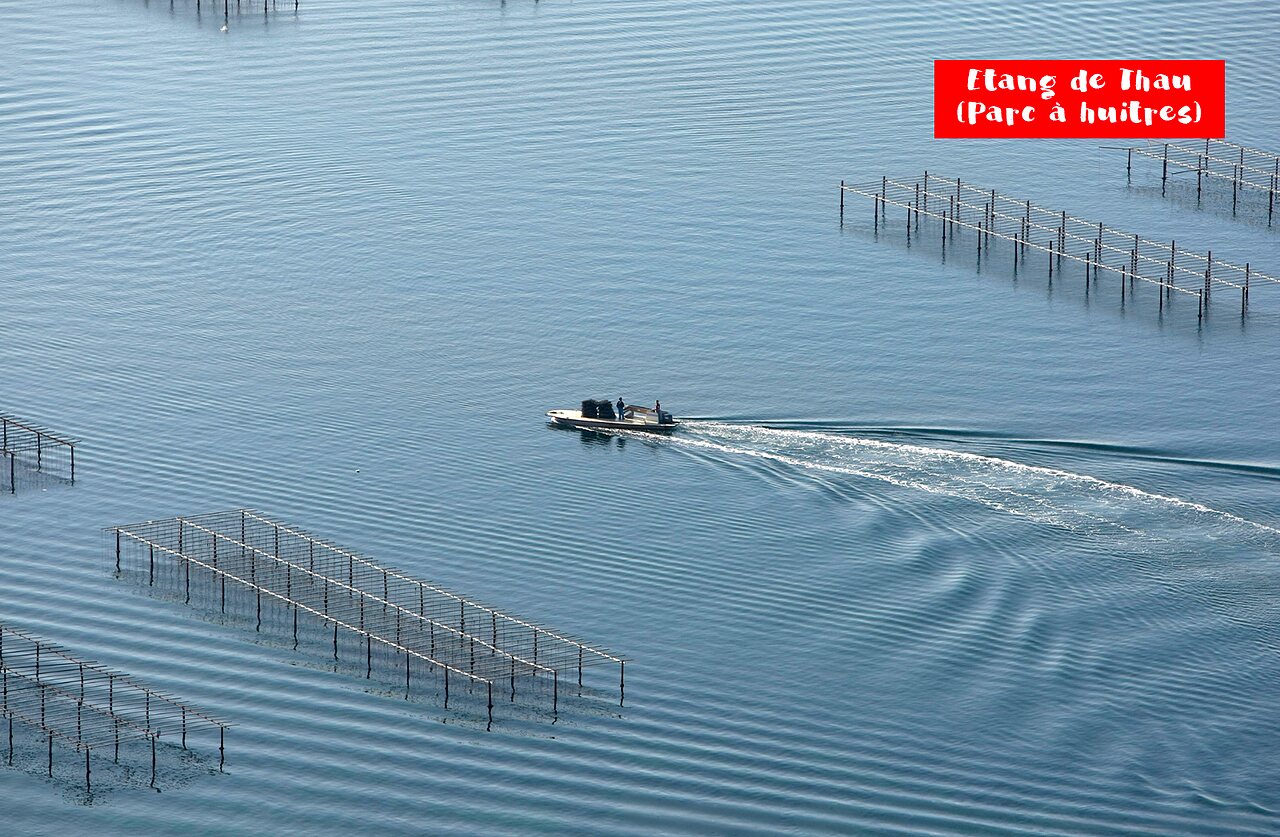 Boat navigating between oyster farms of the Etang de Thau, Occitanie.