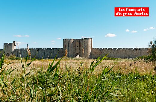 Medieval ramparts of Aigues-Mortes, a historic city to visit in Camargue.