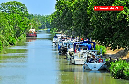 Boats navigating the Canal du Midi, lined with green trees, near Carnon (34).