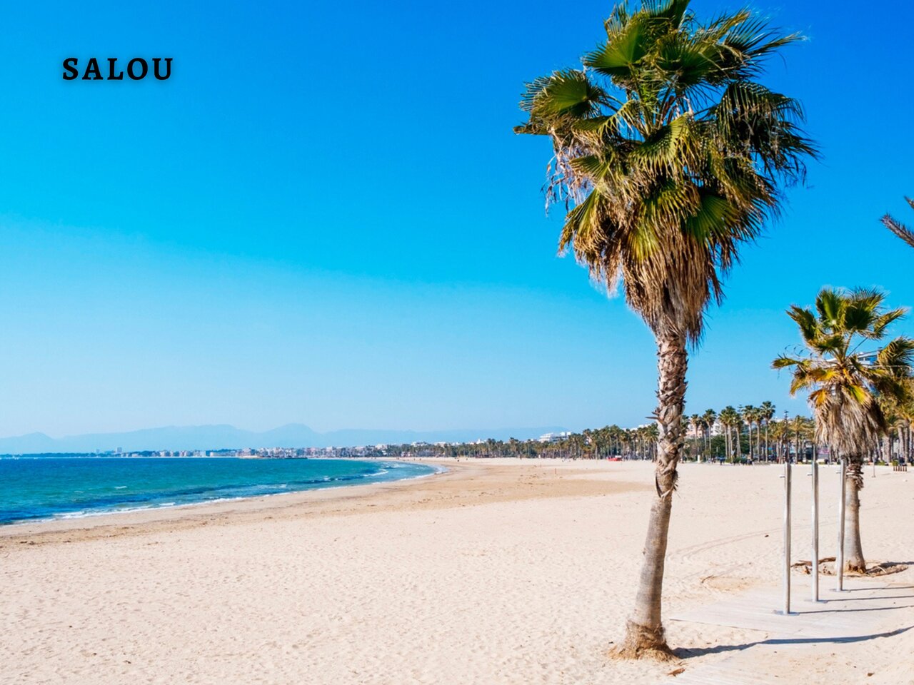Wide sandy beach and palm trees in Salou, near the campsite.