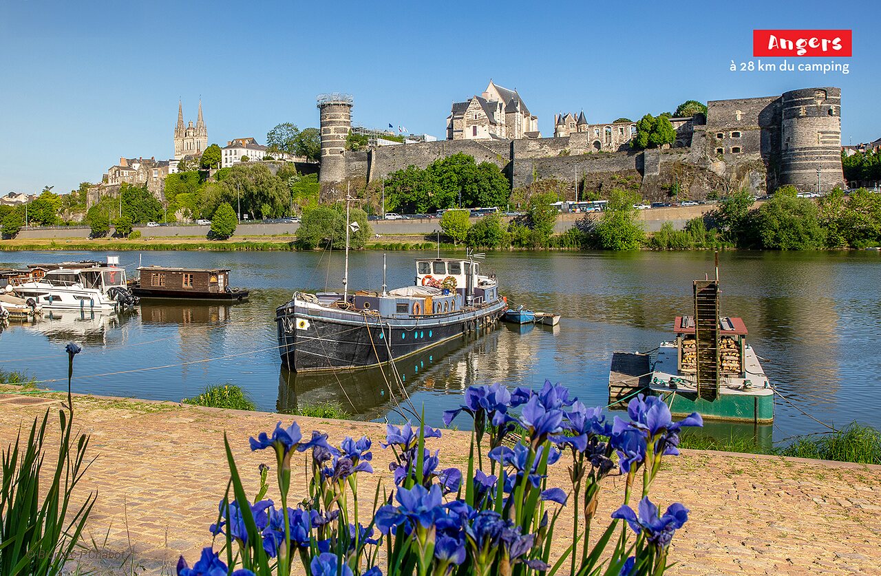 Angers Castle and Saint-Maurice Cathedral, historic city to visit near the campsite.