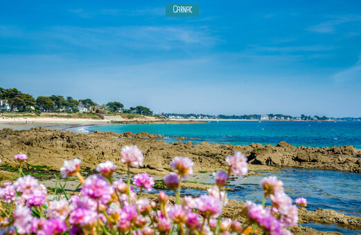 Fine sandy beach and rocky coast in Carnac, Morbihan, Brittany.