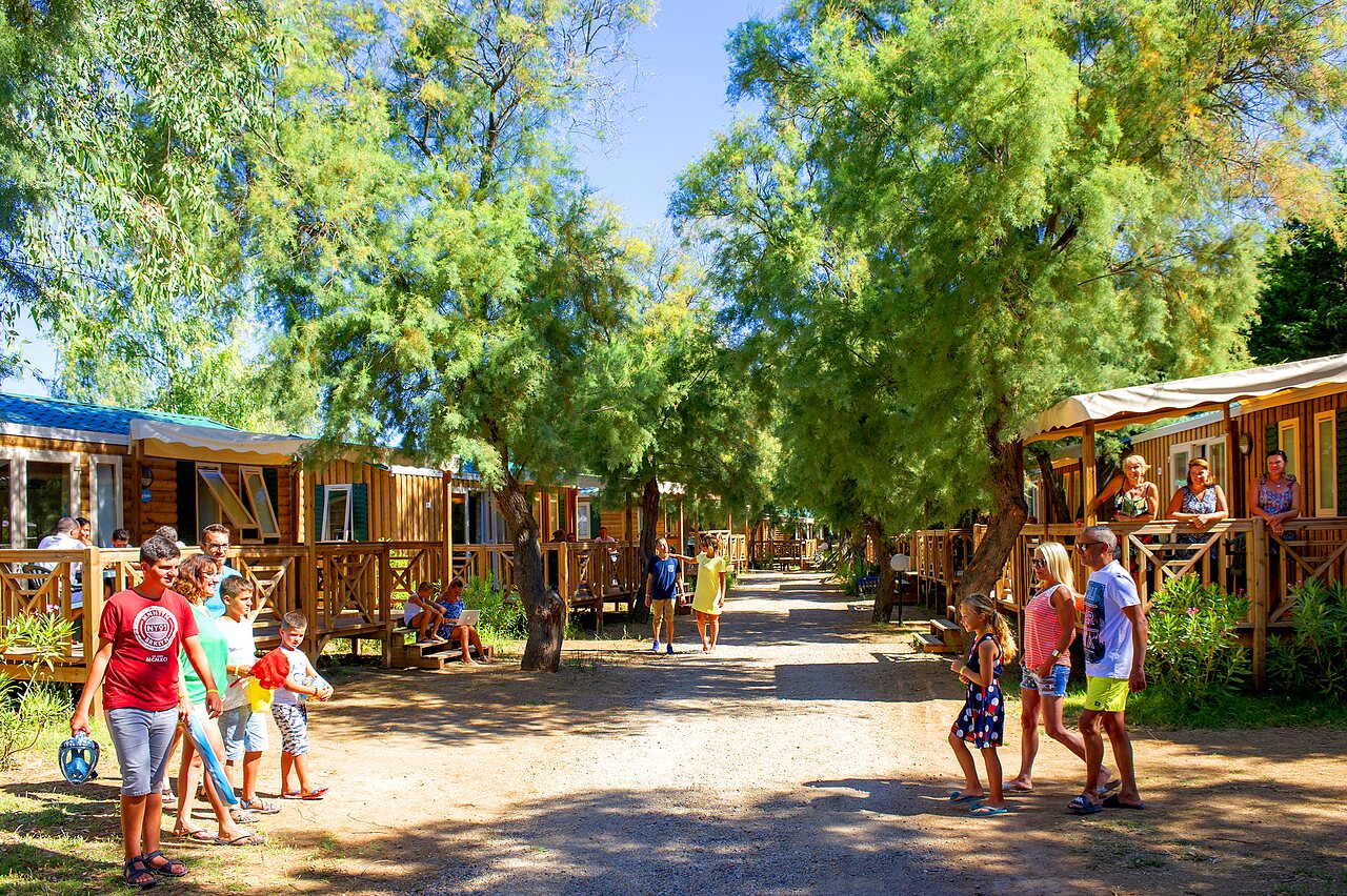 Families, wooden Mobile Homes, shaded path, CAPFUN La Nina, Agde.