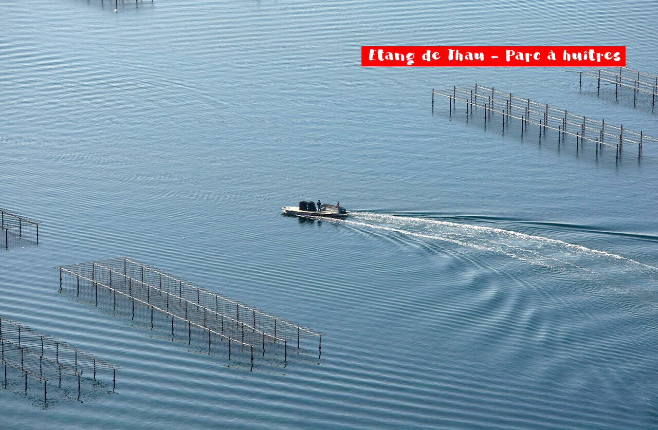 �tang de Thau and oyster farm with boat, place to visit near S�te.