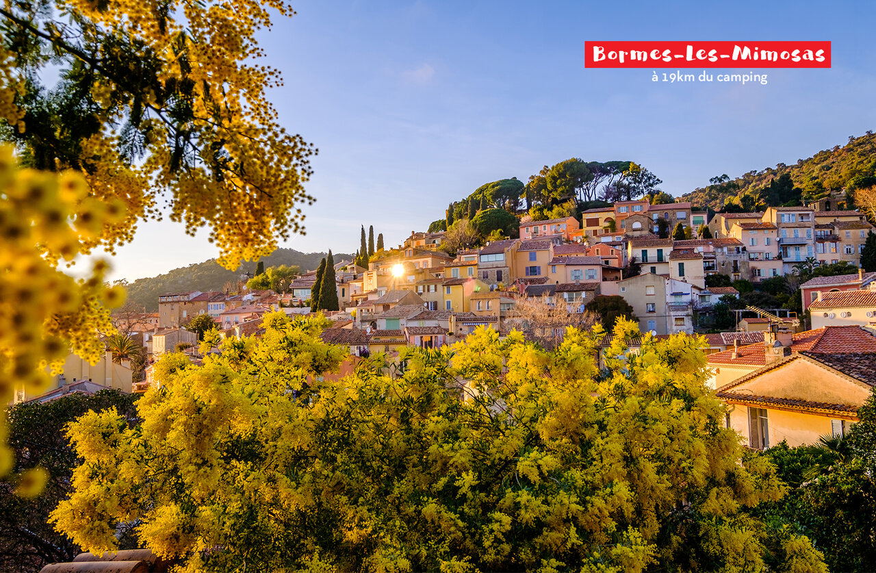 Flowery village Bormes-les-Mimosas with mimosas in bloom, a must-see in Var.