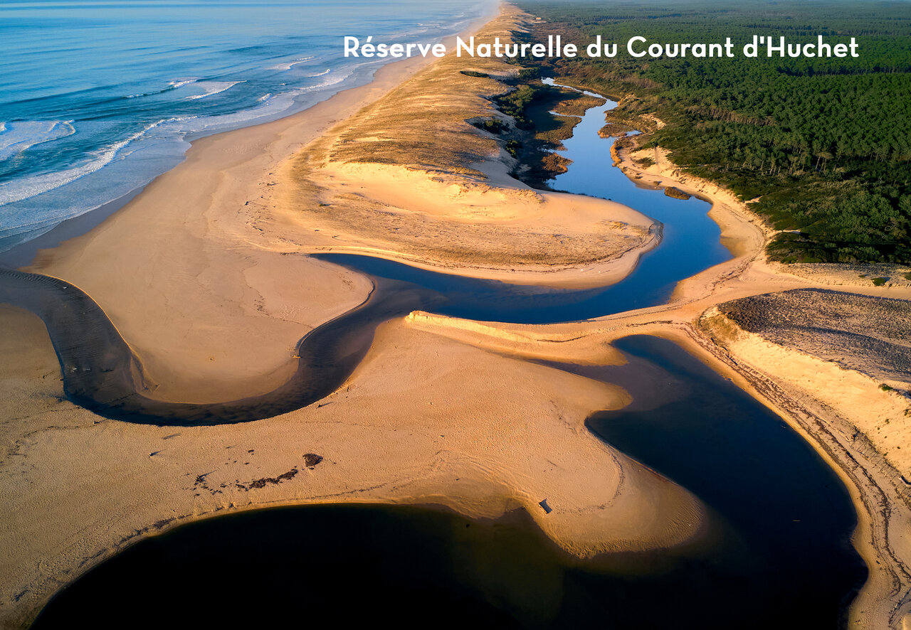 Courant d'Huchet Nature Reserve, beach and forest in the Landes near Azur.