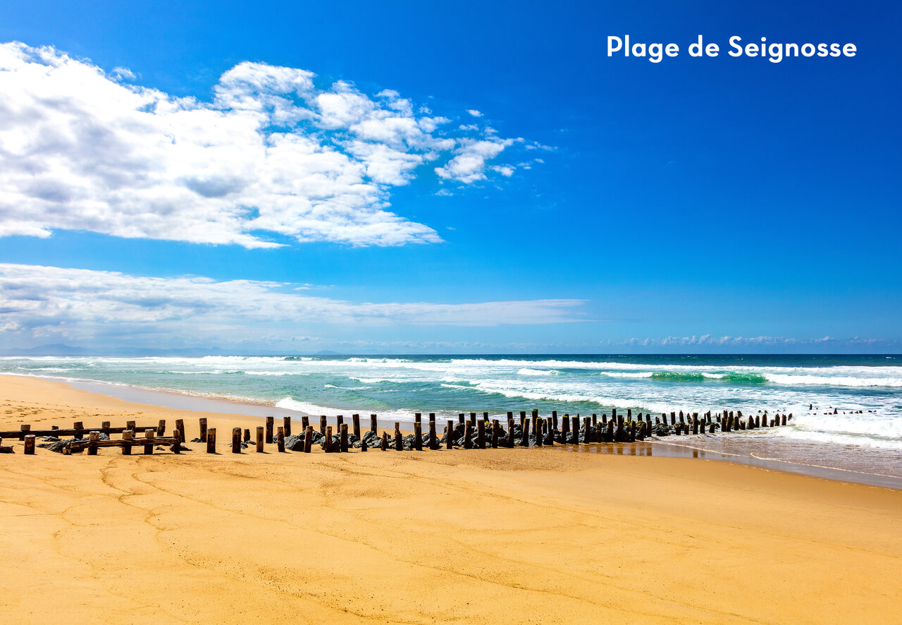 Seignosse beach, golden sand, ocean, wooden breakwaters, beautiful place to visit.