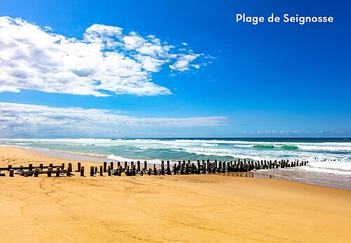 Seignosse beach with wooden groynes, a place to visit near the campsite.