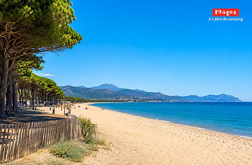 Sandy beach and pine trees at CAPFUN Paris Roussillon campsite in ARGELES SUR MER (66).