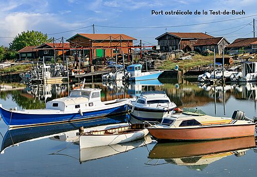 Oyster port of La Teste-de-Buch, an authentic place to visit.