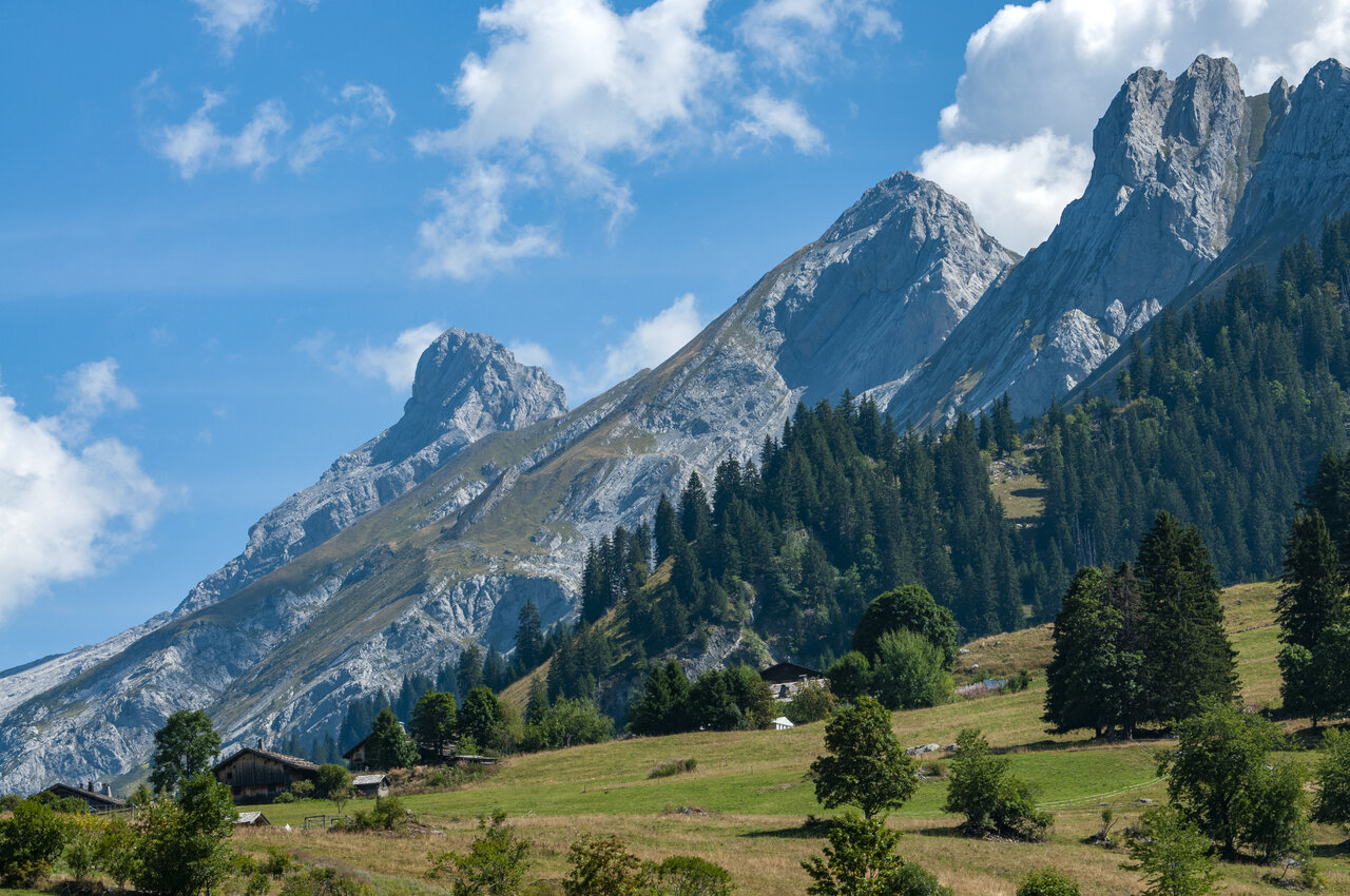 Rocky mountains, fir forests and meadows at CAPFUN Plan du Fernuy LA CLUSAZ.