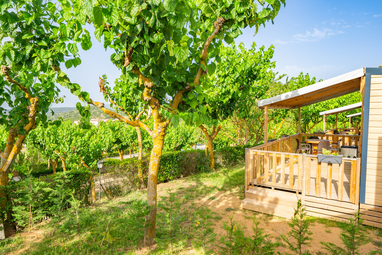 Mobil-home, wooden terrace, nature at CAPFUN Serra de Prades campsite in Vilanova de Prades.
