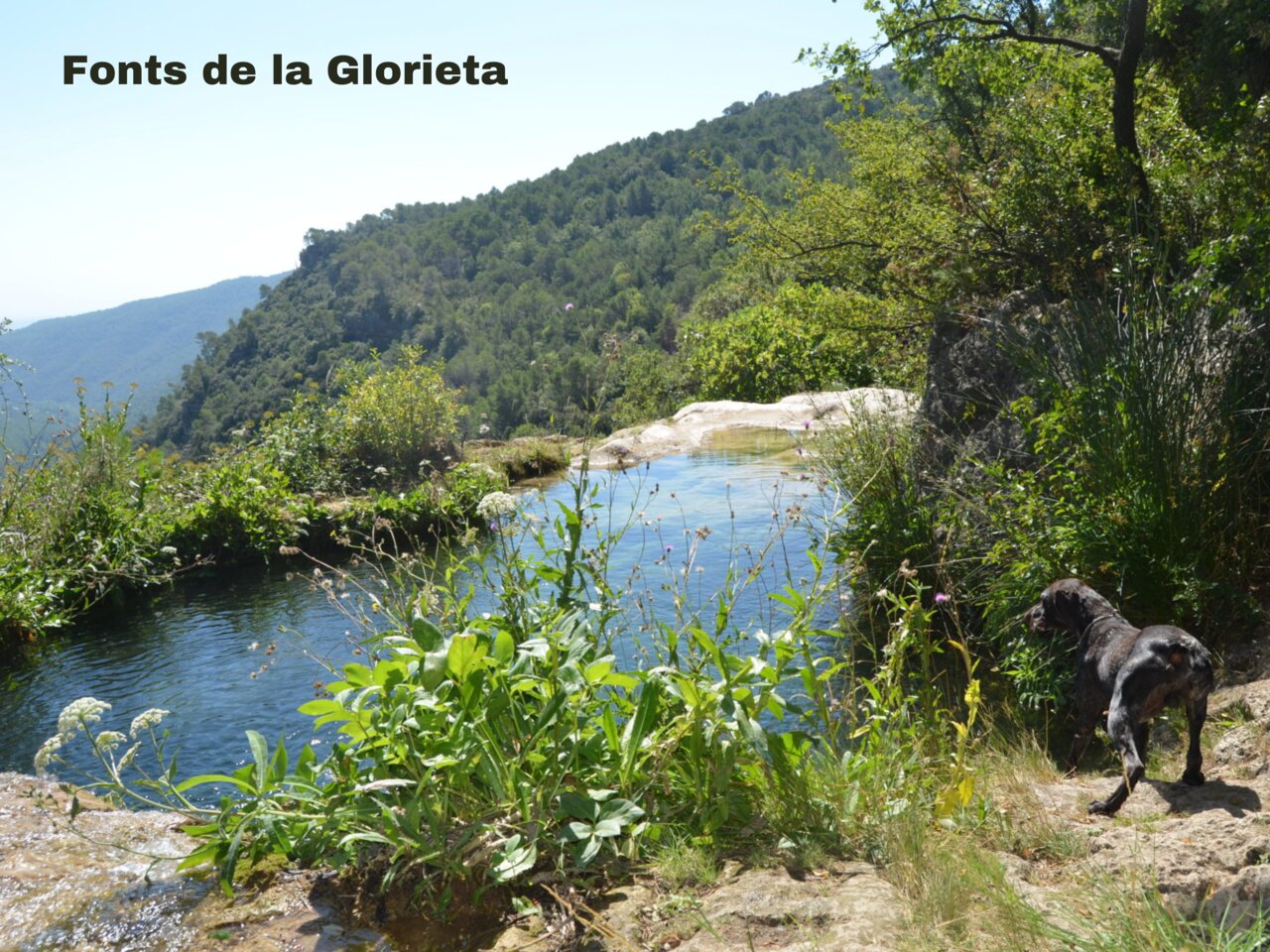 Natural pools Fonts de la Glorieta, mountainous landscape near Vilanova de Prades.