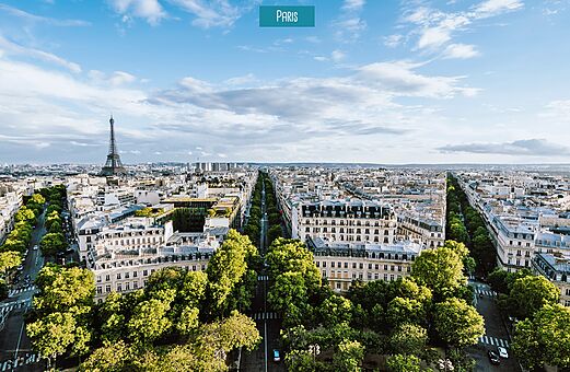 Aerial view of Paris featuring the Eiffel Tower and a tree-lined avenue.