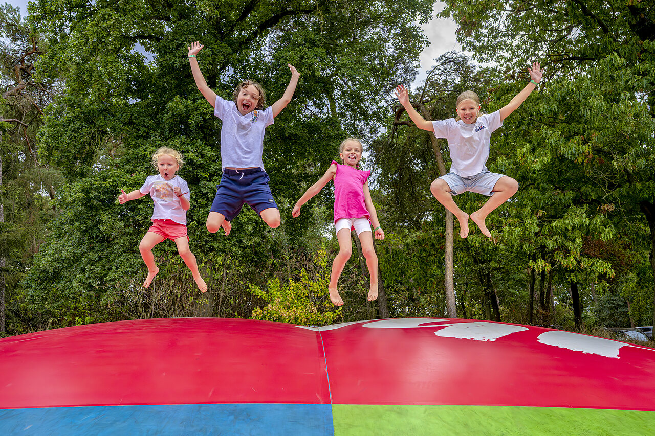 Happy children jumping on the giant inflatable cushion at CAPFUN Rakelbos campsite in Westelbeers.
