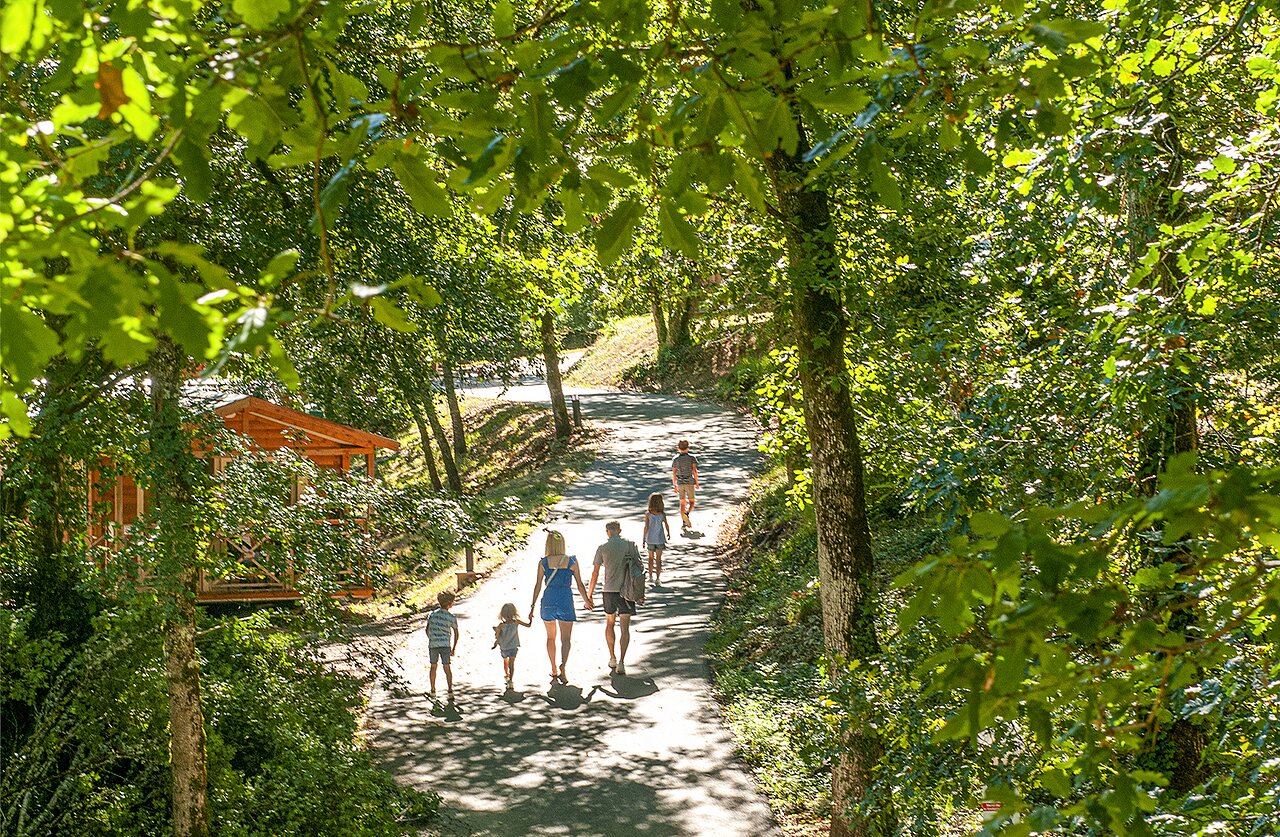 Family tree-lined path, Mobil-home at CAPFUN Roca d'Amour campsite in PADIRAC (46).