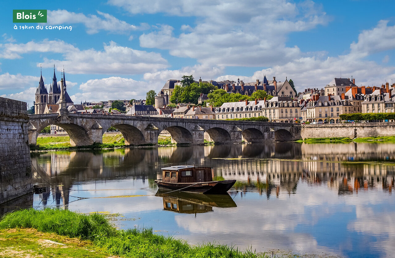 Historic bridge over the Loire, Blois castle, picturesque city in Loire Valley.