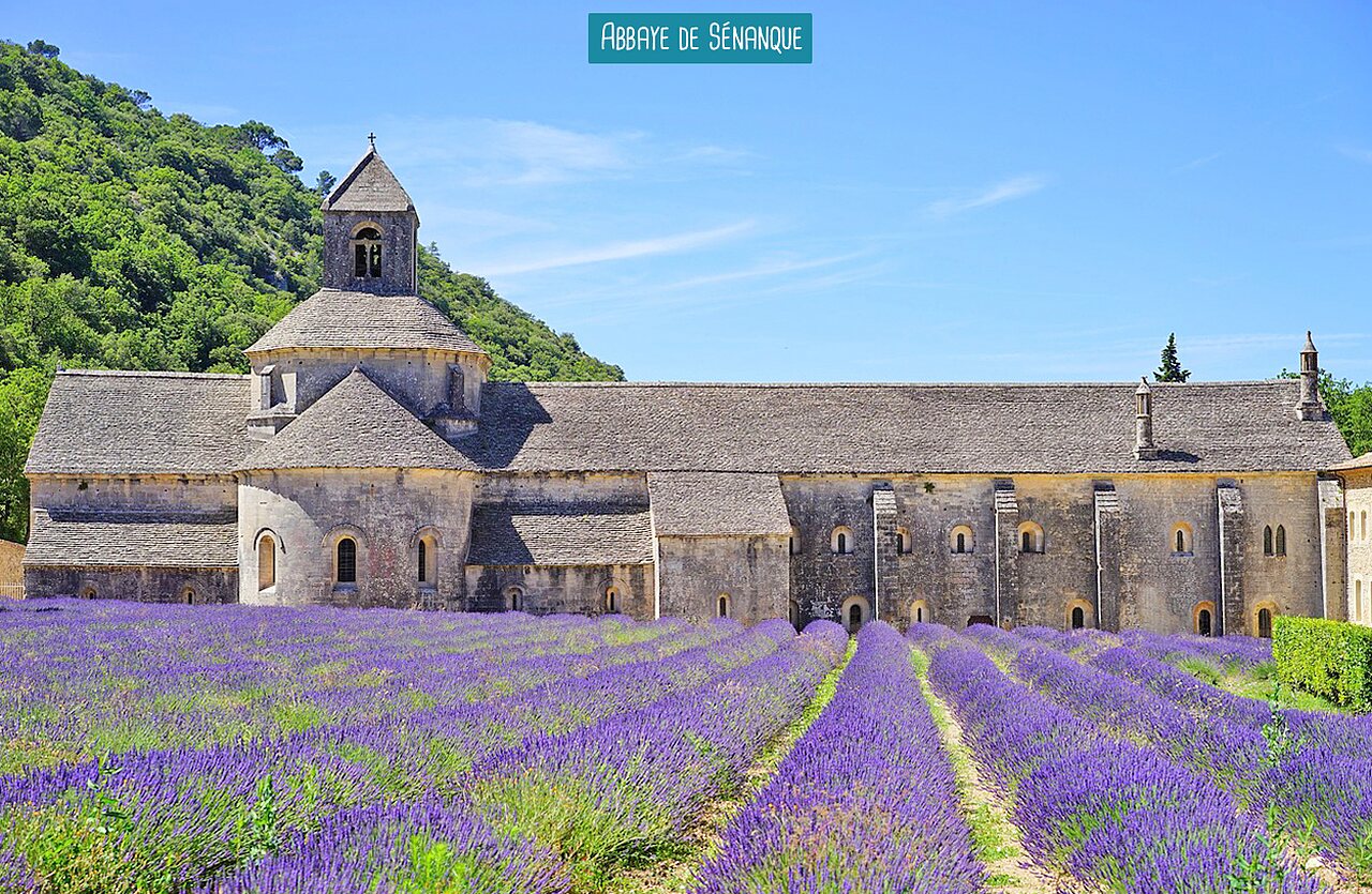 S�nanque Abbey and lavender fields, a must-visit site in Provence.
