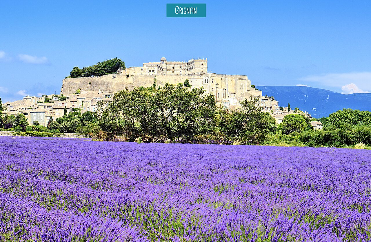 Grignan castle and lavender fields, a must-visit place in Dr�me Proven�ale.