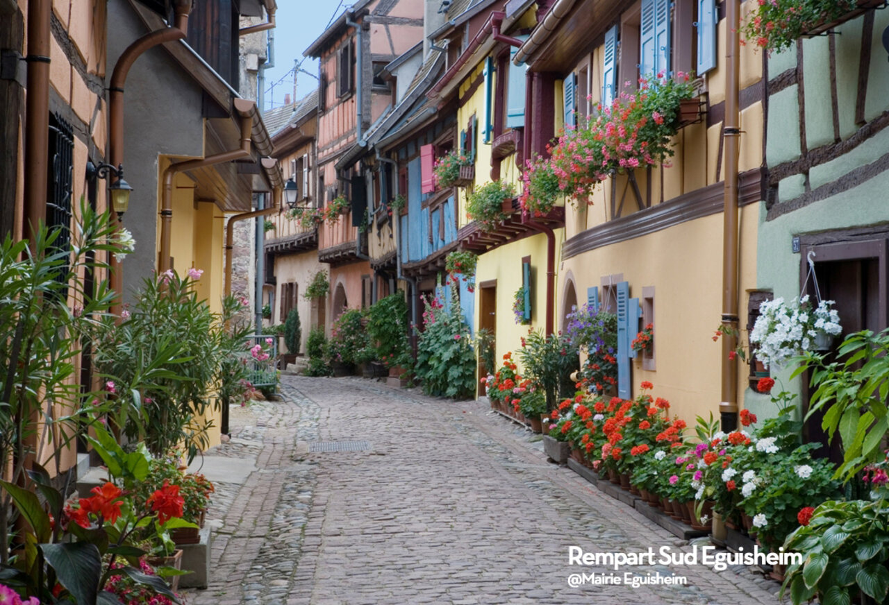 Flowery cobblestone street and colorful half-timbered houses, Eguisheim, Alsace.