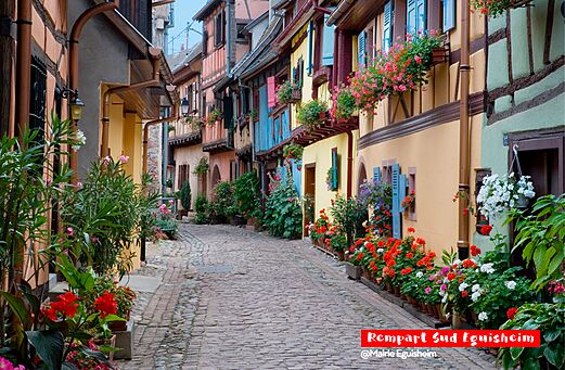 Flowery cobblestone street and colorful houses in Eguisheim, Alsace.