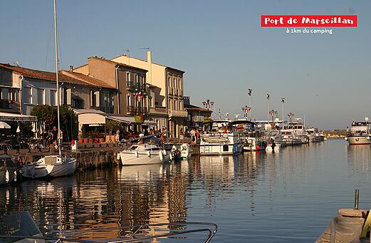 Port of Marseillan with moored boats and lively terraces, H�rault, Occitanie.
