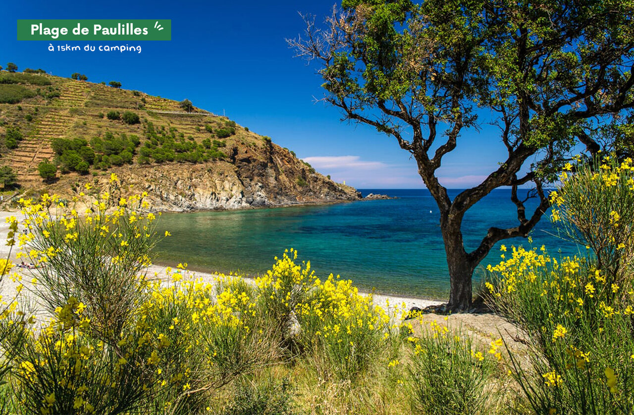 Paulilles Beach, Mediterranean cove with turquoise waters, Pyr�n�es-Orientales.