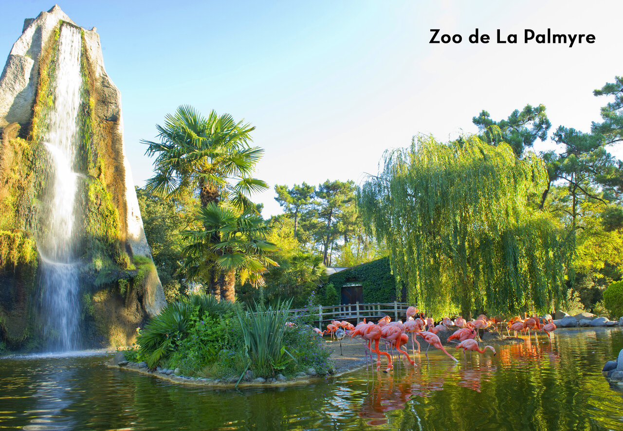 La Palmyre Zoo with pink flamingos, waterfall, and lush vegetation in Charente-Maritime.
