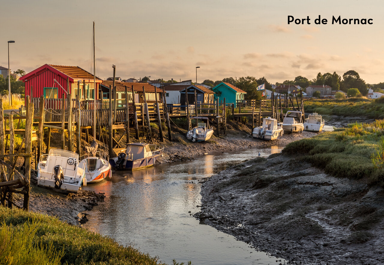 Port of Mornac-sur-Seudre, colorful oyster huts and stranded boats in Charente-Maritime.
