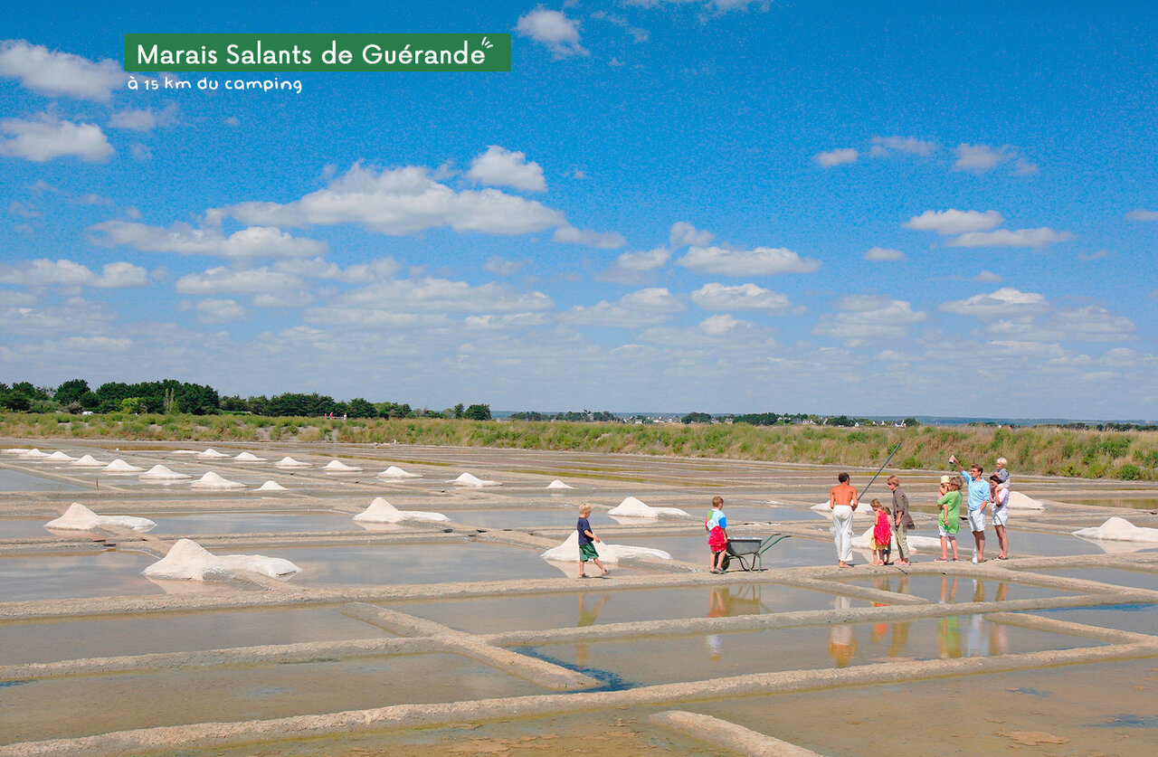 Gu�rande Salt Marshes, family discovery, tourist activity near Pornichet.