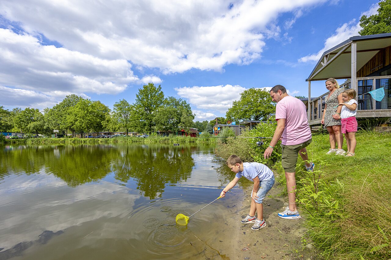 Child fishing with net in the lake at CAPFUN Vlinderloo campsite in Enschede.