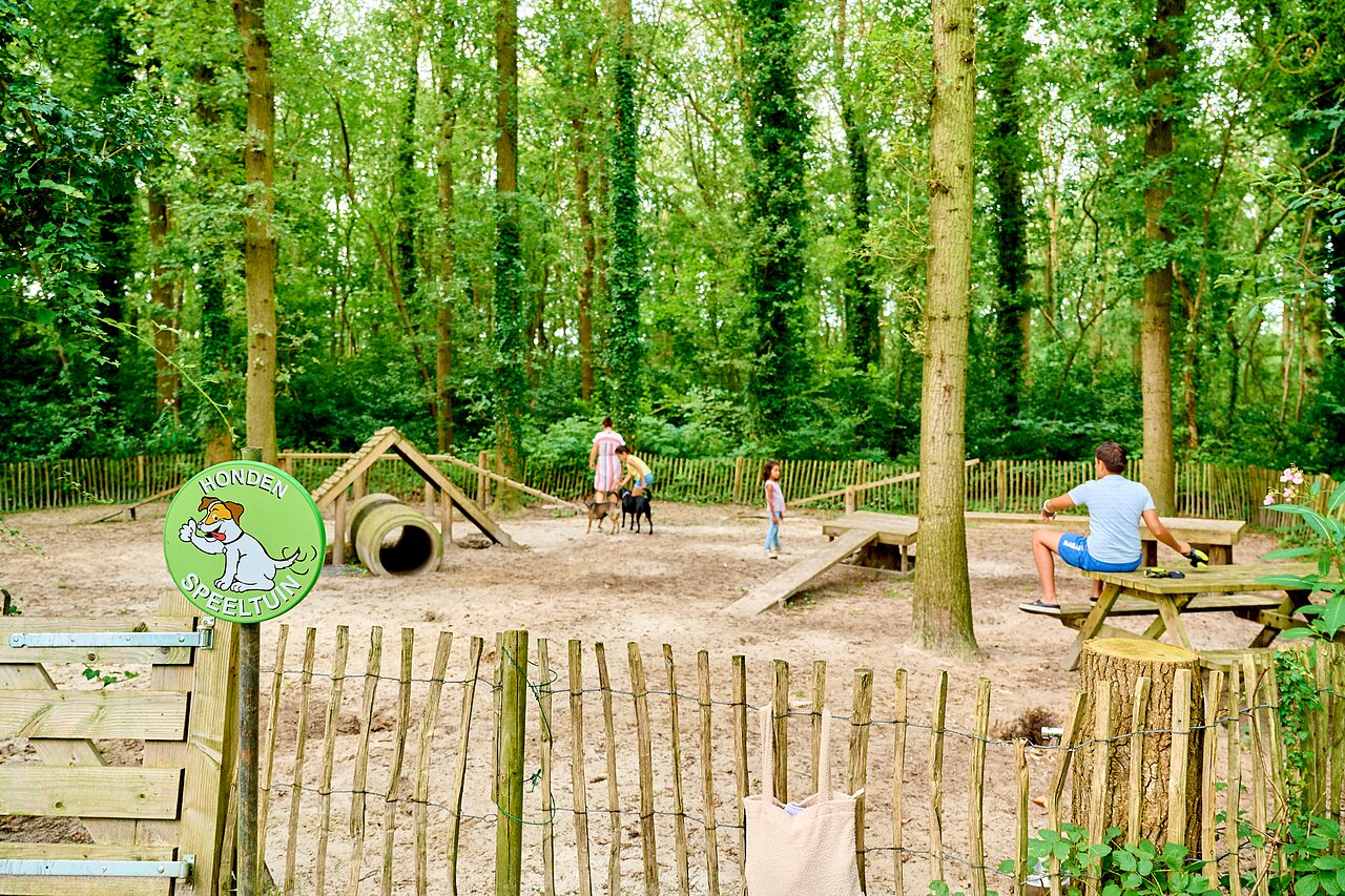 Dog playground with agility equipment at CAPFUN De Waldsang campsite in Bakkeveen.