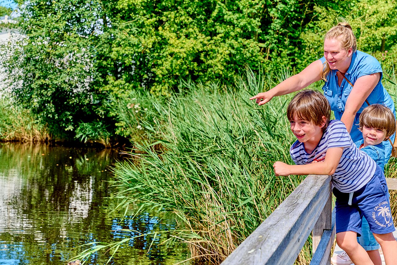 Family observing nature by the water at CAPFUN De Waldsang campsite in Bakkeveen.