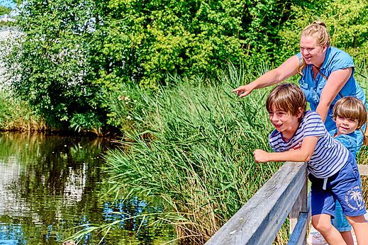 Family observing nature and water at CAPFUN De Waldsang campsite in Bakkeveen.