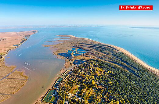 Aerial view of Pointe d'Arçay, beach and forest in Vendée.