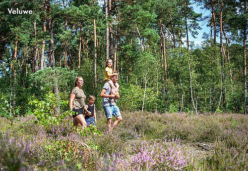 Holiday Park Zeumersehof, Holiday Park Gelderland Holiday Park Zeumersehof, Holiday Park Gelderland